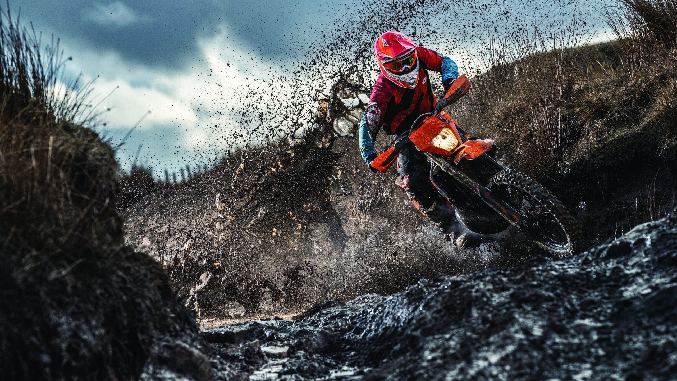 “诺克·达维德·彼得森的领导力,助力南非羚羊队攻城略地”