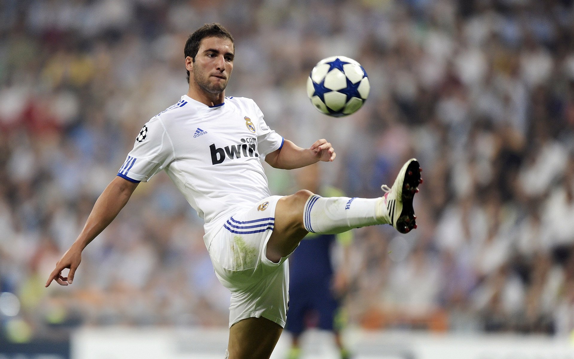 多国联手推动足球青训合作,打造国际足球青训联盟,国外足球青训体系